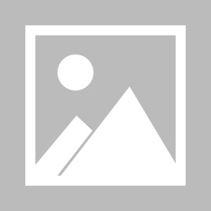 kaiyun-又一位总领事力挺樊振东：我最喜欢的乒乓运动员，7月起效力杜塞|萨尔布吕肯|法兰克福|德国杯|德甲|乒乓球